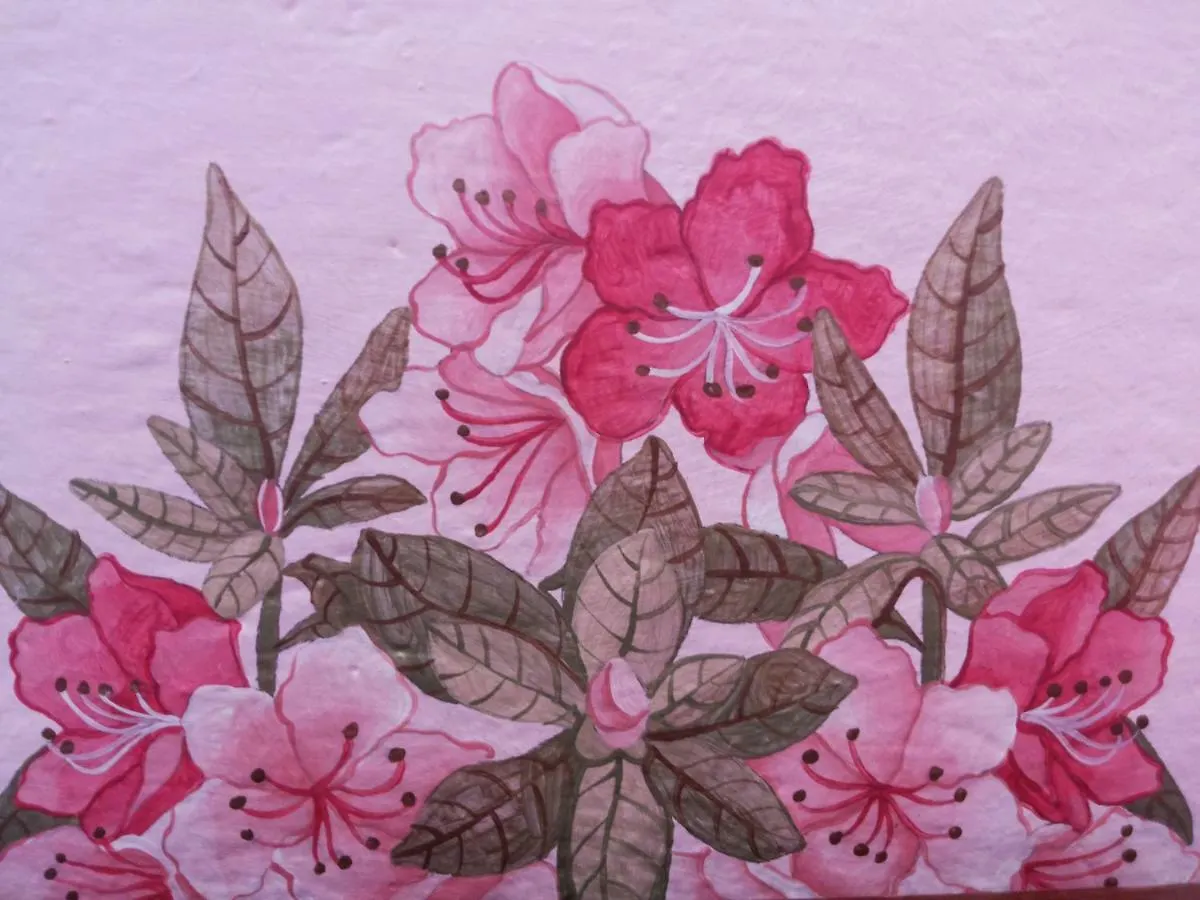 Apartment Charming Glicine And Azalea House Art And Colour With Lakeview